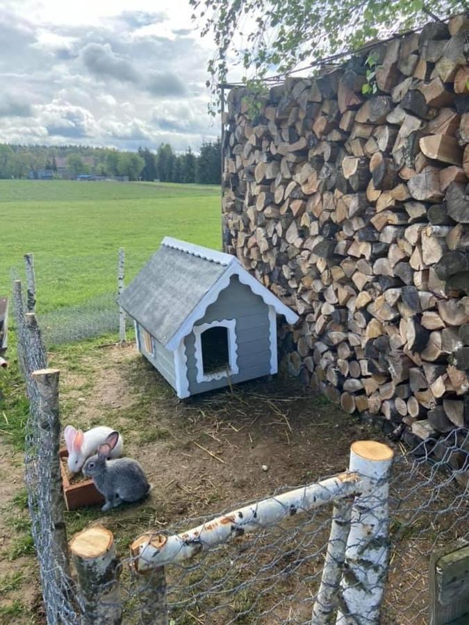 Domek Na Uboczu Gryfow sląski Bagian luar foto
